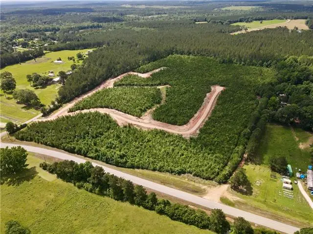 Parcel 7 436 Highway, Franklinton, LA 70438 - #3