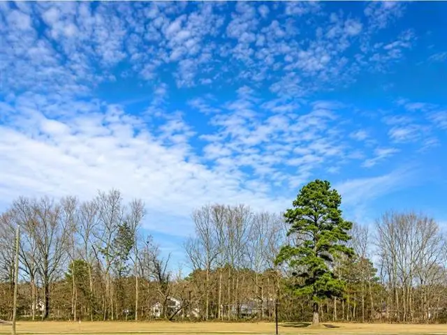 44068 Mary Singletary Road, Saint Amant, LA 70774 - #1
