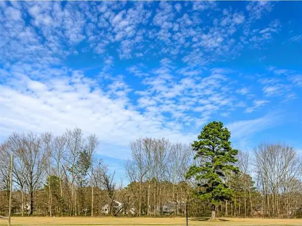 44068 Mary Singletary Road, St. Amant, LA 70774