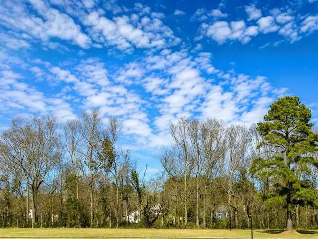44068 Mary Singletary Road, Saint Amant, LA 70774 - #2