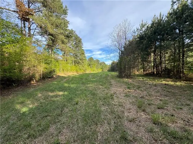 1311 N Jackson Street, Brookhaven, MS 39601 - #1