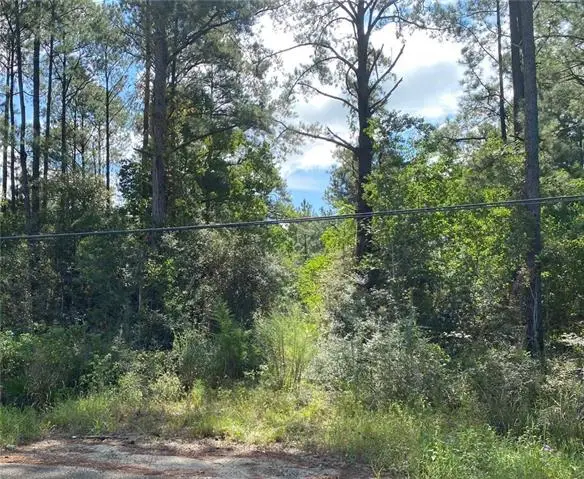 Address Withheld By Seller, Lacombe, LA 70445 - #1