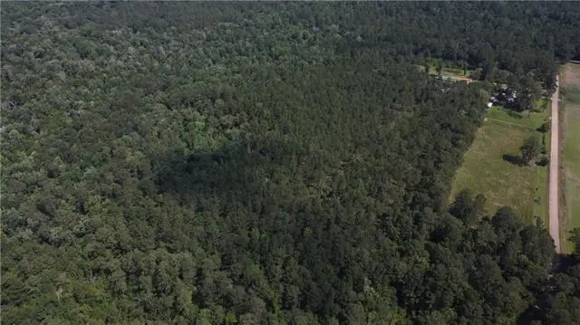 71 Acres Pierre Cemetery Road, Folsom, LA 70437 - #3