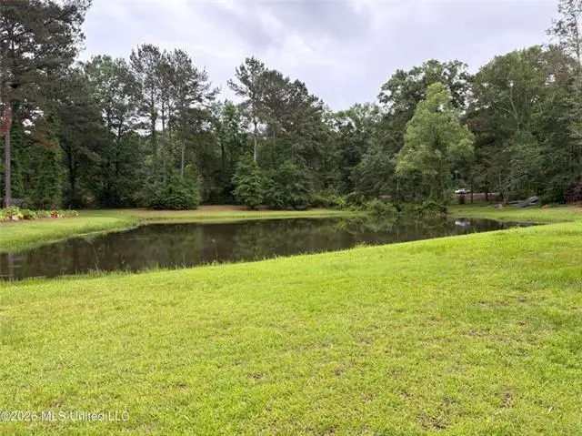 367 44 Highway, Jayess, MS 39641 - #2