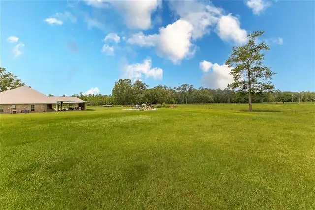 33063 Hwy 43 Highway, Independence, LA 70443 - #2