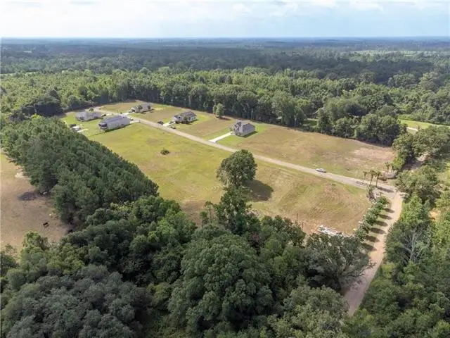 110 Charles Davis Lane, Amite, LA 70422 - #3