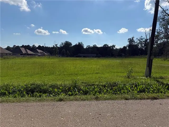 41523 and 41525 Yokum Road, Ponchatoula, LA 70454 - #2