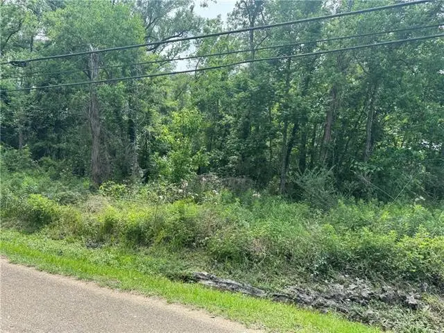 12558 N Central Avenue, Roseland, LA 70456 - #2