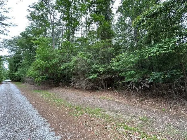 Firetower Road, Mandeville, LA 70471 - #3