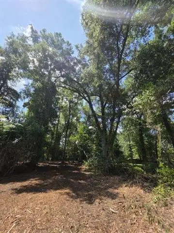 28-B Oak Hollow Drive, Hammond, LA 70401 - #3