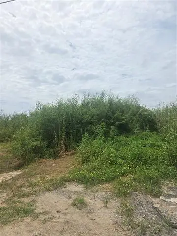 Lots 1-4 Quince Lane, Grand Isle, LA 70358 - #1