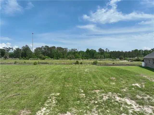 21416 Yellow Fin Drive, Springfield, LA 70462 - #3
