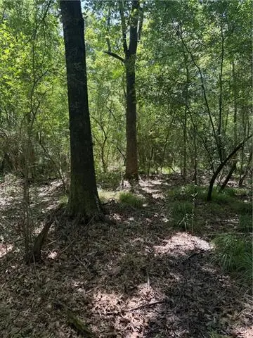 Port Hudson Pride Rd Road, Zachary, LA 70791 - #3