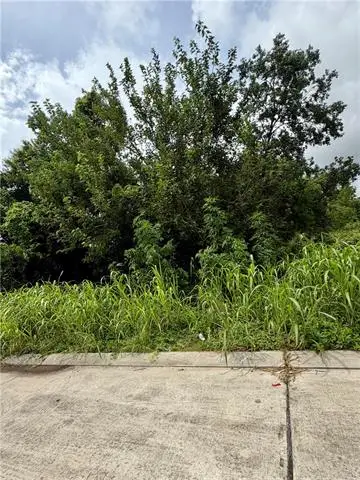 6118 Shirley Taylor Street, New Orleans, LA 70117