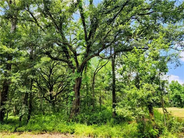 72283 Josephine Street, Covington, LA 70433 - #2