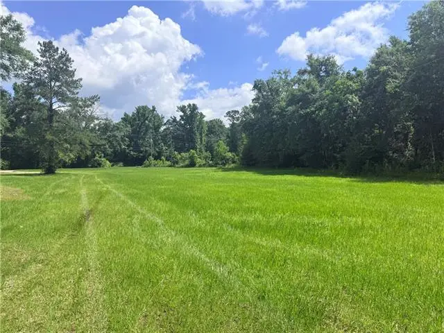 2464 Greenlaw Avenue, Franklinton, LA 70438 - #2
