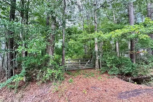 Lot 13 Highway 434 Highway, Lacombe, LA 70445
