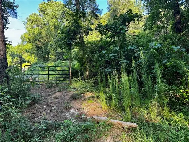Parcel 3 Ward Line Road, Bogalusa, LA 70427 - #2