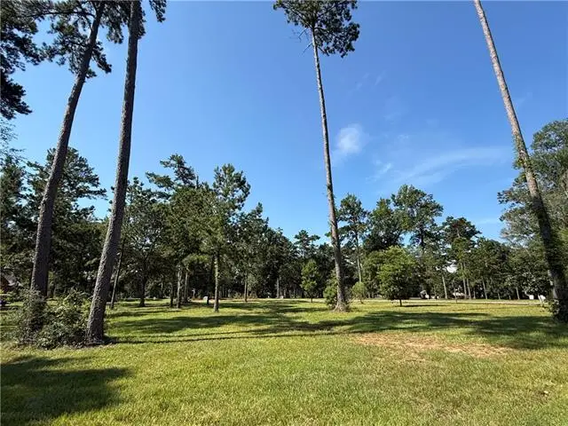 133 Chinawood Drive, Abita Springs, LA 70420 - #3