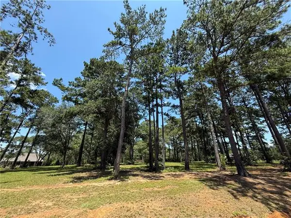 7238 The Woods Avenue, Abita Springs, LA 70420