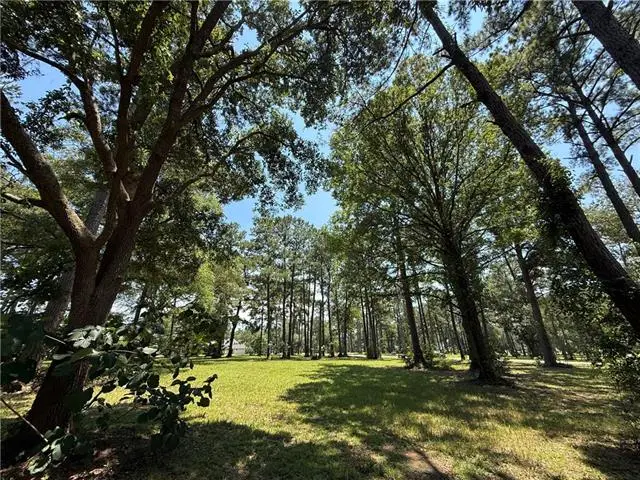 7238 The Woods Avenue, Abita Springs, LA 70420 - #3