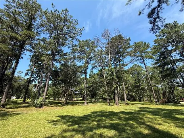 7237 The Woods Avenue, Abita Springs, LA 70420 - #1