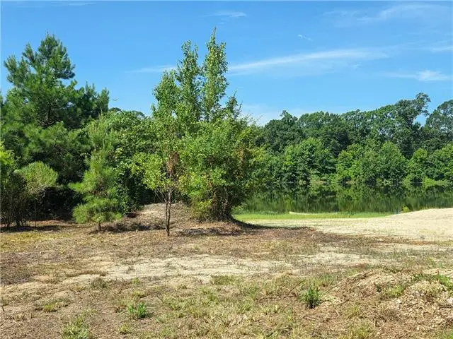 TBD Holdens Run, Franklinton, LA 70438 - #2