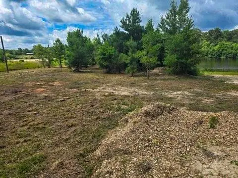 TBD Holdens Run, Franklinton, LA 70438 - #3
