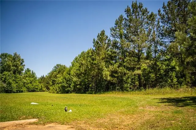 1203 Love Street, Brookhaven, MS 39601 - #3