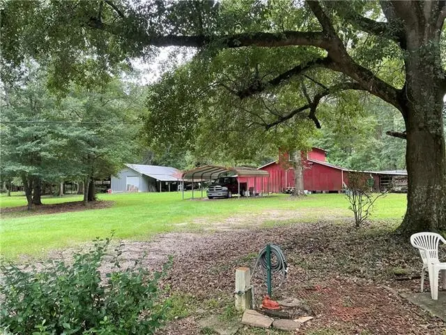 54237 Addison Road, Independence, LA 70443 - #3