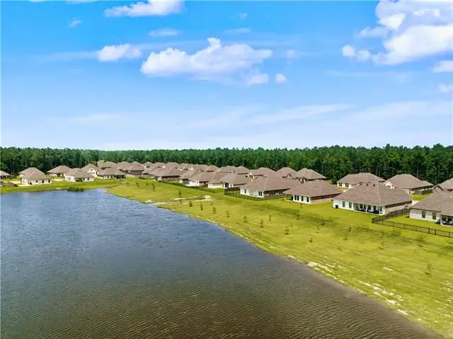 39557 White Sand Lane, Ponchatoula, LA 70454 - #2