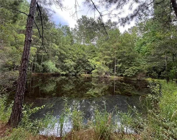 13050 Boyd Road, Covington, LA 70435 - #3