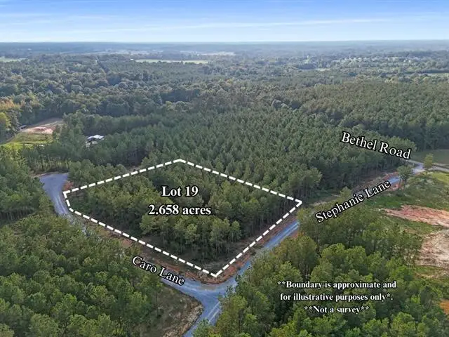 Lot 19 Caro Lane, Franklinton, LA 70438 - #1