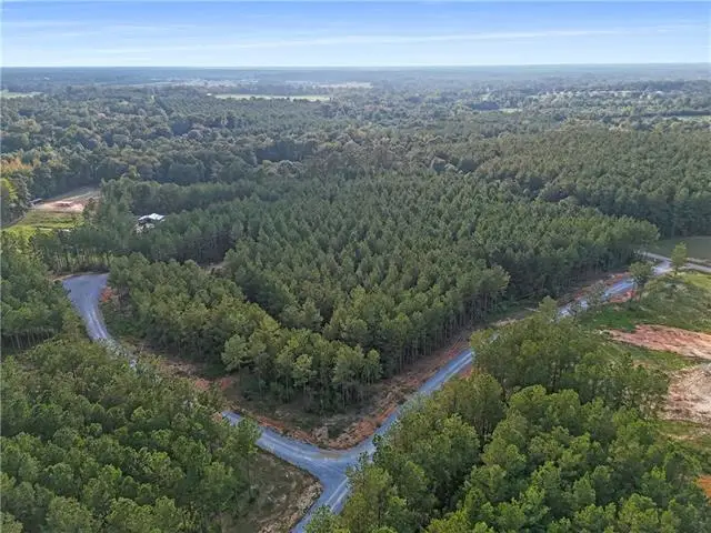 Lot 19 Caro Lane, Franklinton, LA 70438 - #3