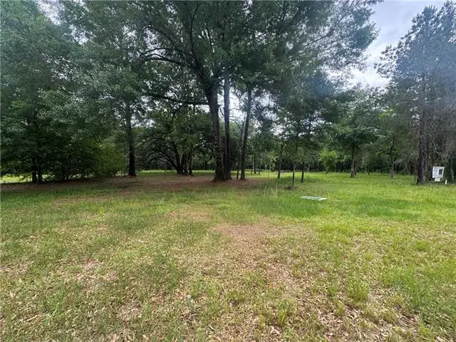Highway 435 Highway, Abita Springs, LA 70420 - #1