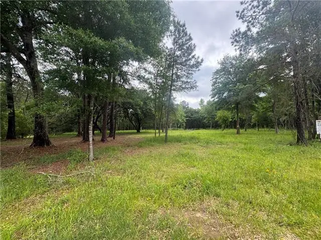 Highway 435 Highway, Abita Springs, LA 70420 - #3