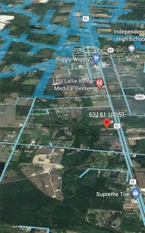 52181 Highway 51, Independence, LA 70443