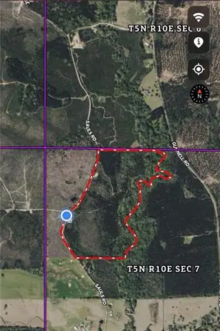 32 Sauls Road, Ruth, MS 39662 - #3