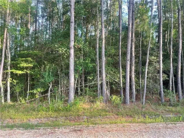 0 Worsham Drive, Abita Springs, LA 70420 - #1