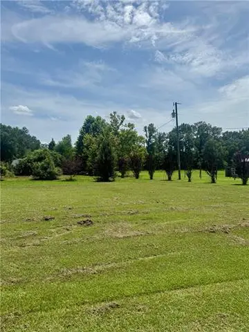 50414 Lester Lane, Loranger, LA 70446 - #2