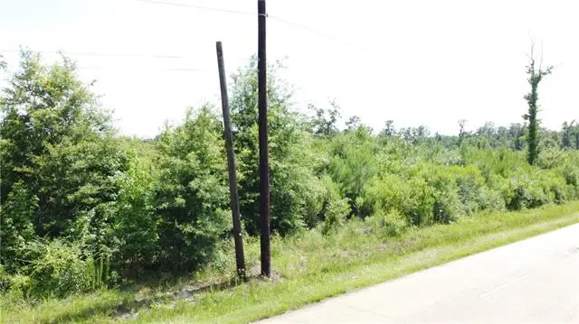 Tract A-3-C Old Genessee Road, Tickfaw, LA 70466 - #3