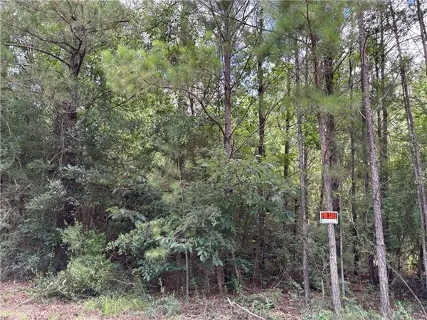 1.529 AC Trappers Run, Albany, LA 70711