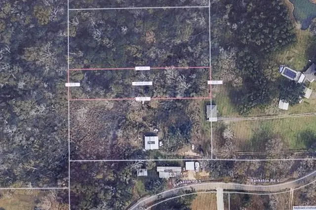 Lot 4 Bankston Road, Albany, LA 70711 - #1