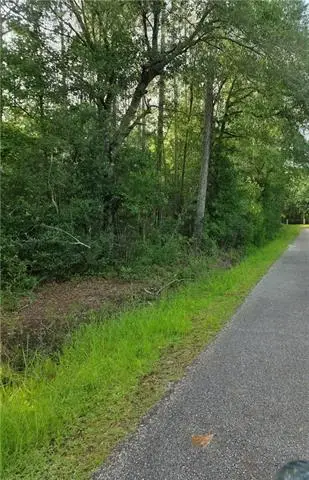 30473 Country Lane, Bush, LA 70431 - #1