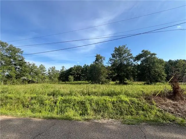 31070 Hubert Stilley Road, Independence, LA 70443 - #1