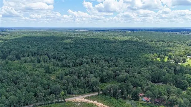 TBD Martin Road, Mount Hermon, LA 70450 - #2