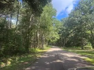 0 Lock No 2 Road, Bush, LA 70431 - #3