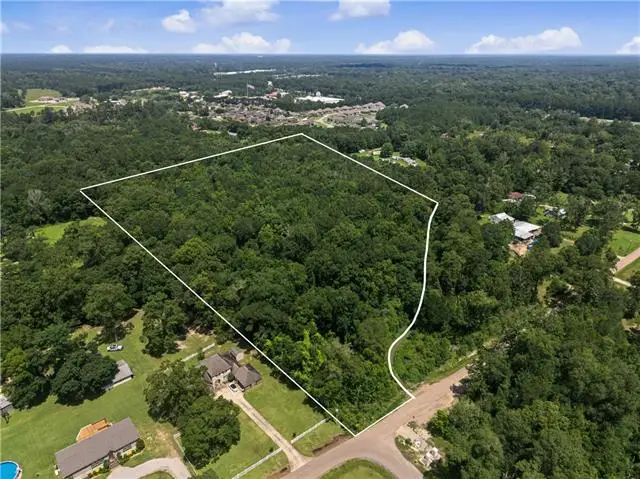 42848 Mike Cooper Road, Ponchatoula, LA 70454 - #2