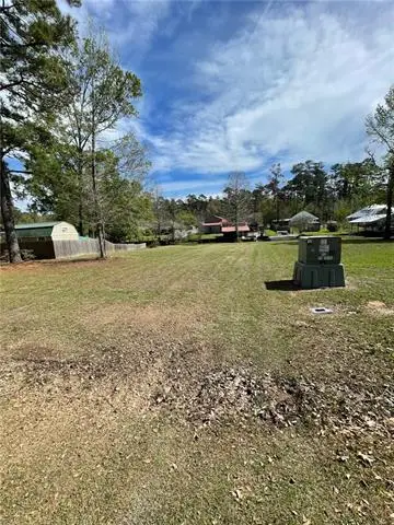 31140 Dendinger Mills Road, Springfield, LA 70462 - #1