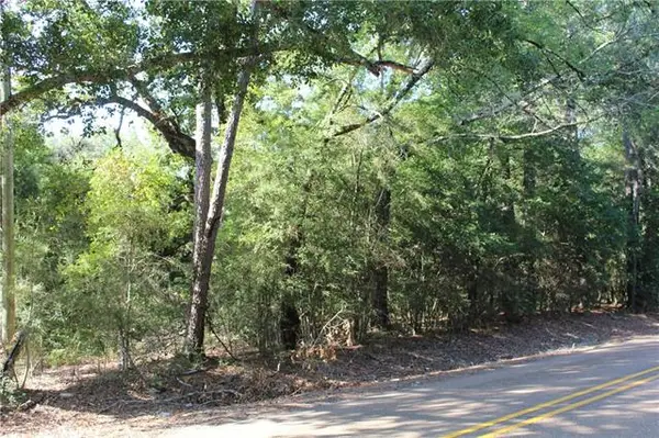 TBD Highway 1049 Highway, Kentwood, LA 70444
